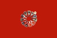 望谟县回收红酒